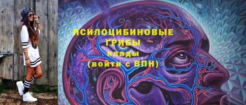 mega ссылки  Вологда  Галлюциногенные грибы Magic Shrooms 